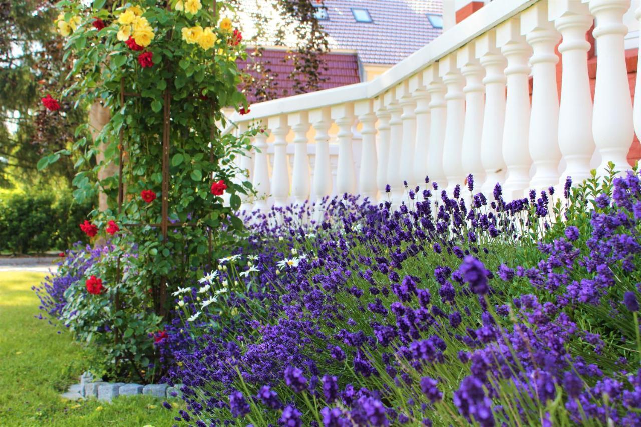 Rosen Villa Kappeln Luaran gambar